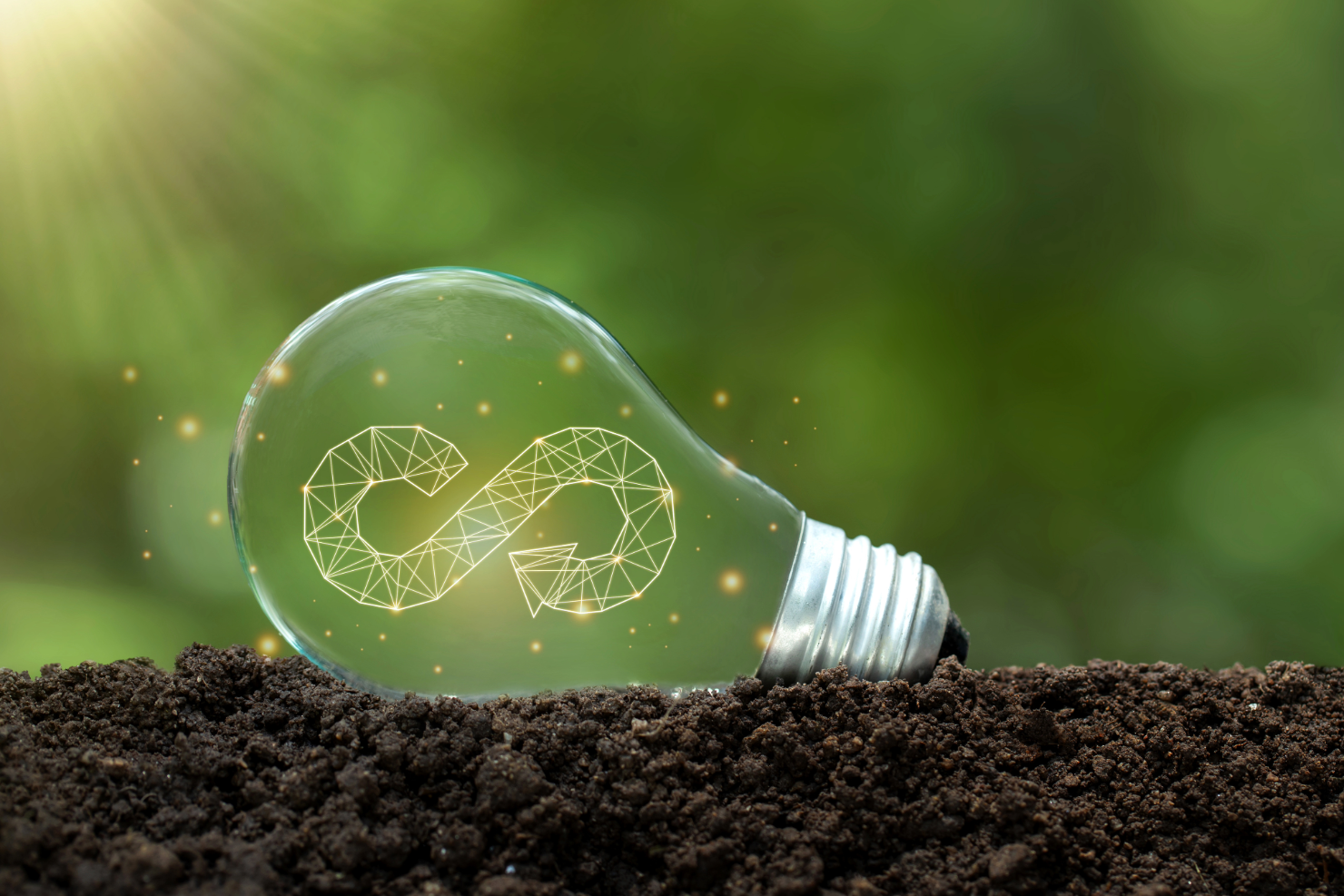circular economy